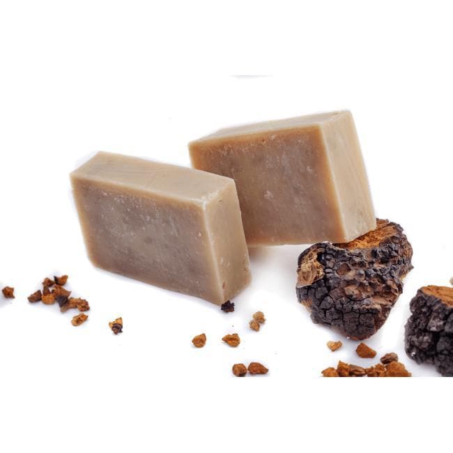 Annanda Chaga Mushroom Shampoo Bar Soap-Annanda Chaga Mushrooms