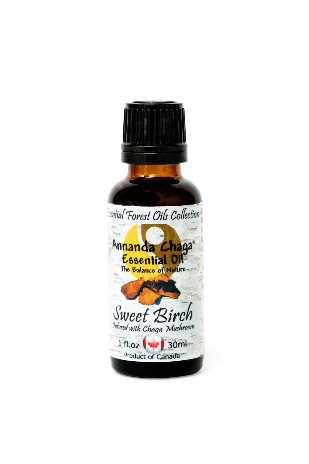 Sweet Birch and Chaga Mushroom Essential Oil - Annanda Organics-Annanda Chaga Mushrooms