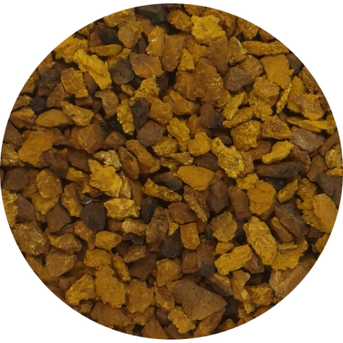 chaga nuggets closeup