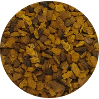 chaga nuggets closeup