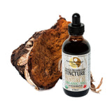 Canadian Chaga Mushroom dual extract - Annanda chaga mushrooms